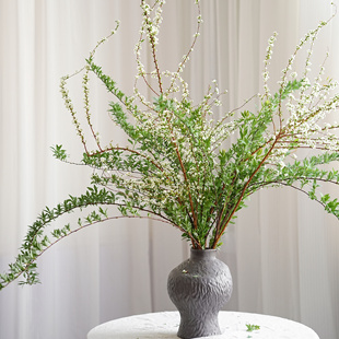 【云花甄选】小手球叶雪柳花鲜花家居插花水养云南基地直发绿配叶