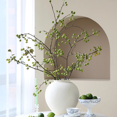 【云花甄选】绿色海棠果鲜切枝真的花果实类花材造型王者非常灵动