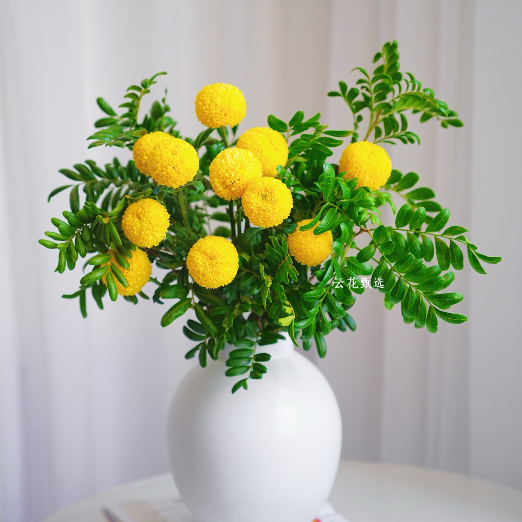 【云花甄选】真花鲜切花黄色乒乓菊搭配花束云南直发水养鲜花空运