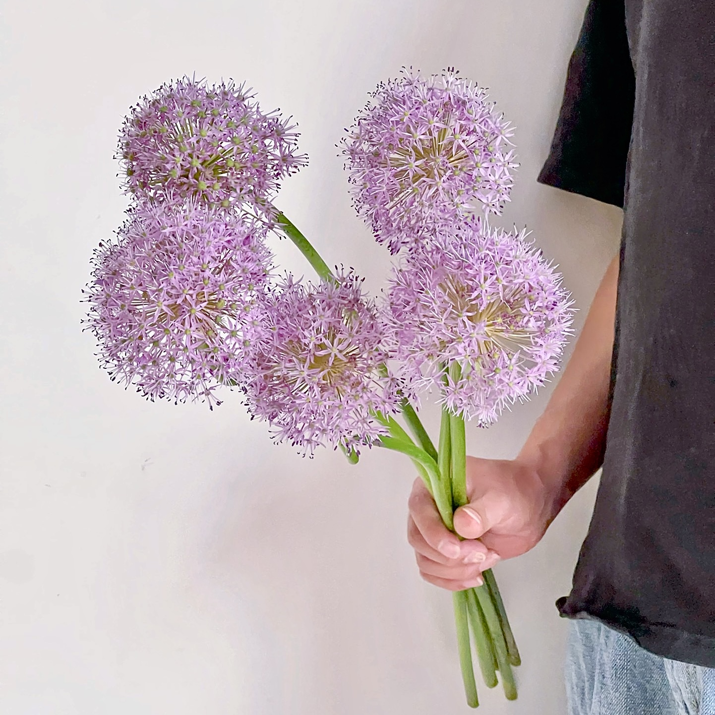 【云花甄选】紫色小葱花清新可爱鲜切花圆花头雾蒙蒙家庭水养瓶插