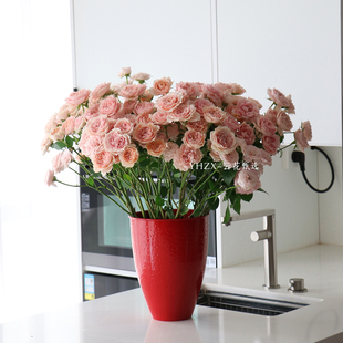 【云花甄选】仙女粉杏粉色拉拉队真的鲜花切花水养氛围感生活鲜花