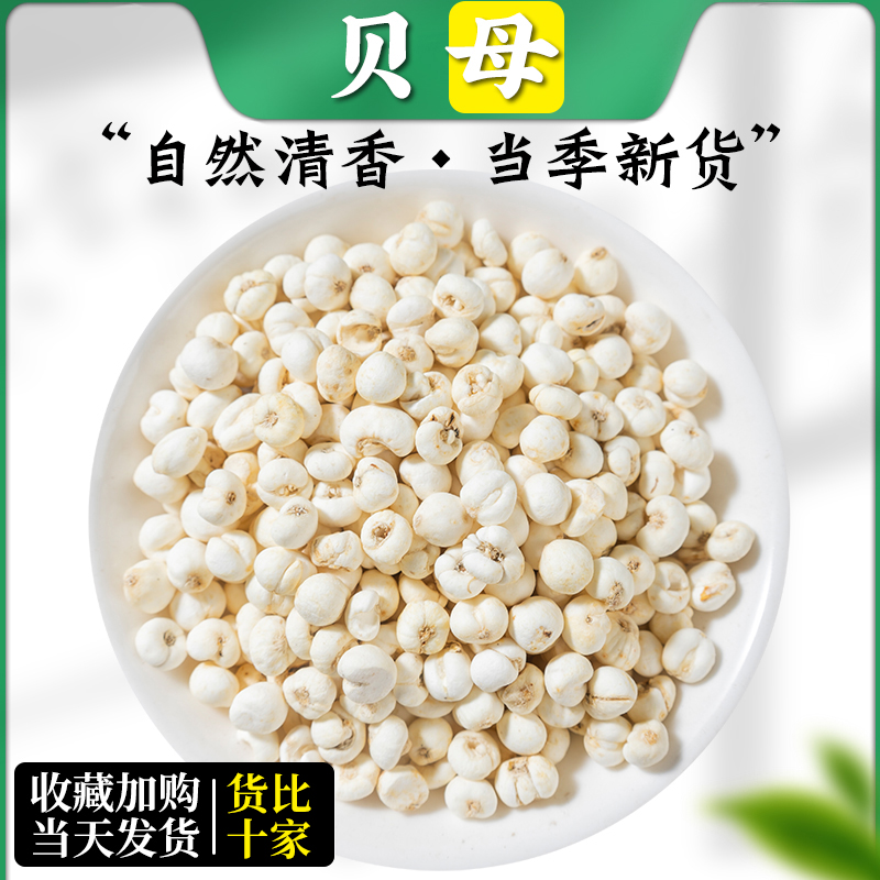 野生川贝四川阿坝正品川贝母松贝尖贝产地直销全怀中抱月50克包邮