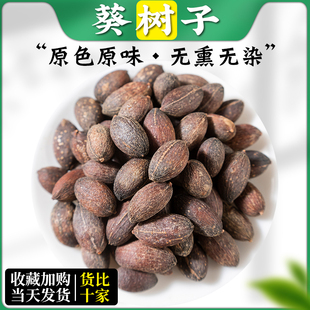 葵树子野生中药材500g精选广西大粒葵树籽老果葵扇子葵扇籽蒲葵籽