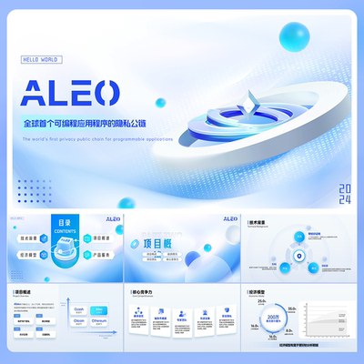 9页ALEO项目介绍PPT区块链大数据科技互联网科技感工作总结述职