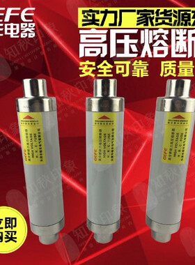 高分断能力高压限流熔断器 XRNT-10 SFLAJ-12 63A XRNT1-12