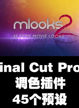FcpX MAC Final Cut Pro X 10 45个预设 调色插件滤镜 mLooks2