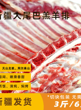 阿勒泰大尾巴羔羊新鲜羊排新疆发