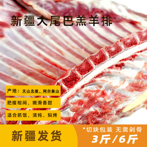 阿勒泰大尾巴羔羊新鲜羊排新疆发