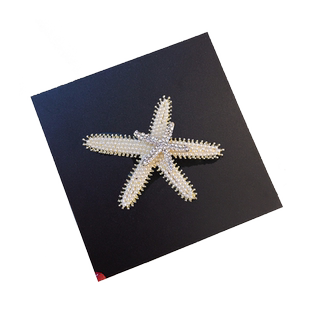 海星珍珠弹簧夹优雅后脑勺发卡气质半扎发发夹马尾顶夹横夹一字夹