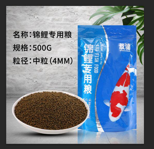 三友创美增色锦鲤鱼厂家直接发货图片
