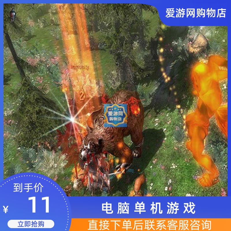 06动作角色扮演魔法黎明正式版一键安装PC电脑单机游戏