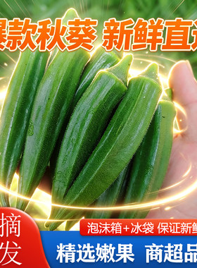 福建新鲜秋葵现摘发货