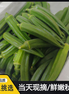 福建新鲜黄秋葵水果秋葵时令蔬菜当季农家六羊豆角现摘现发 1-5斤