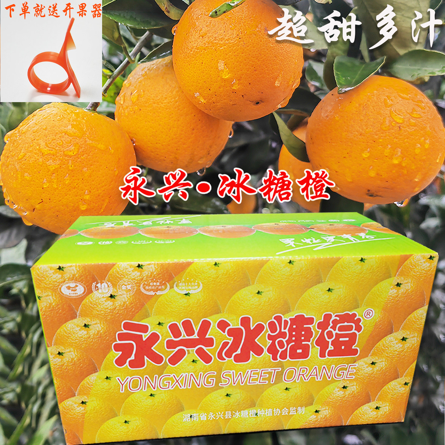 湖南郴州橙子永兴冰糖橙纯甜