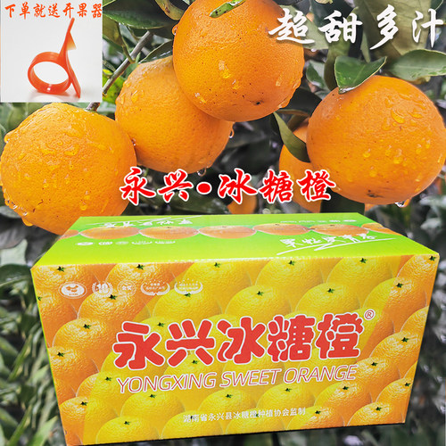 湖南郴州橙子永兴冰糖橙纯甜