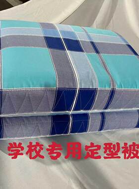 学生定型被子纯棉冬夏两用