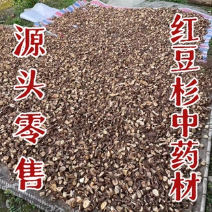 包邮 正宗红豆杉树根宜兰山老根富含紫杉醇泡酒红豆杉根 红豆杉