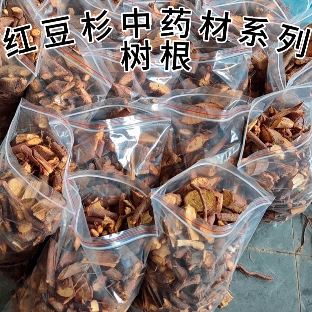 【红/豆杉树根】红/豆杉树根宜兰山老根富含紫杉醇泡酒红/豆杉根