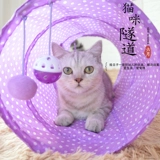 Кошка кошачья туннель, игрушка, кошка, кошачьи продукты кошачья туннели