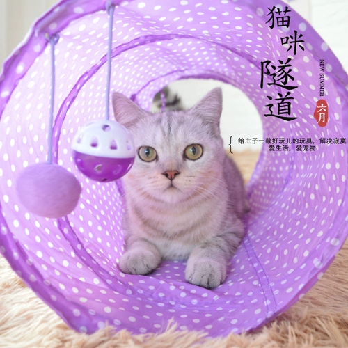 Кошка кошачья туннель, игрушка, кошка, кошачьи продукты кошачья туннели