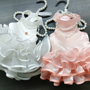 狗狗春夏礼服雪纳瑞约克夏比熊泰迪宠物衣服公主裙绝美礼服拍照服