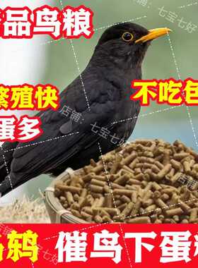乌鸫百舌鸟专用高蛋白产蛋饲料朱老三颗粒补钙促孵卵繁殖专用鸟食