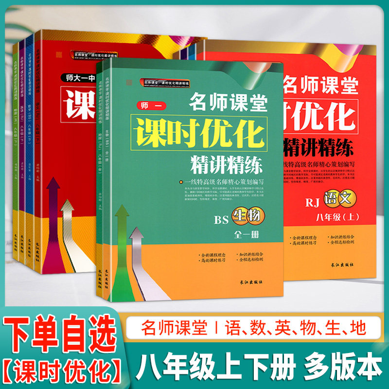 师大课时优化精讲精练八年级