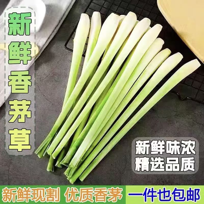 野生香茅草泰国柠檬香茅冬阴功套餐配料南姜调料现割新鲜香茅草