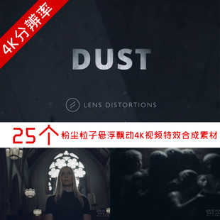 视频素材25个粉尘粒子悬浮飘动4K视频 Lens Distortions Dust