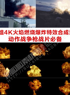 44组4K火焰燃烧爆炸合成素材 动作战争枪战片 COMBUST