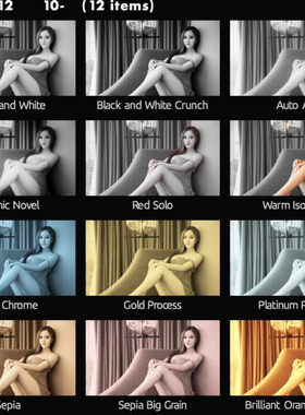 Magic Bullet Looks超炫超全精品调色预设送插件中文教程