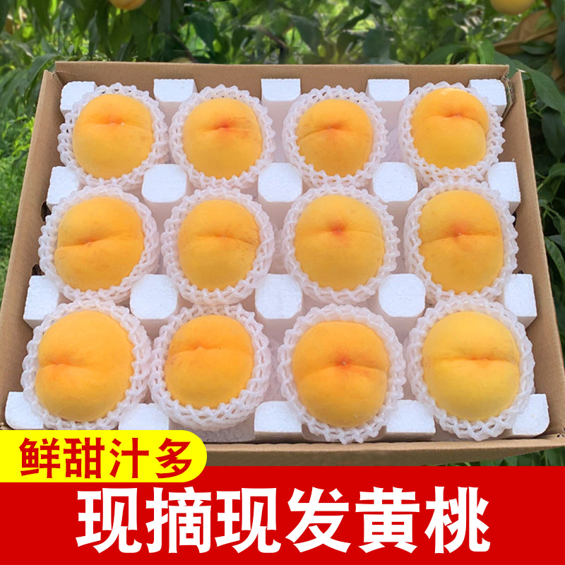 现摘黄桃5斤新鲜桃子当季水果整箱蜜桃包邮桃应季孕妇时令脆桃10|ruв категории водной мясо/свежие фрукты и овощи/еда, свежие фрукты, персик - от Buy2taobao.com для оказания профессиональной услуги покупки агента Taobao