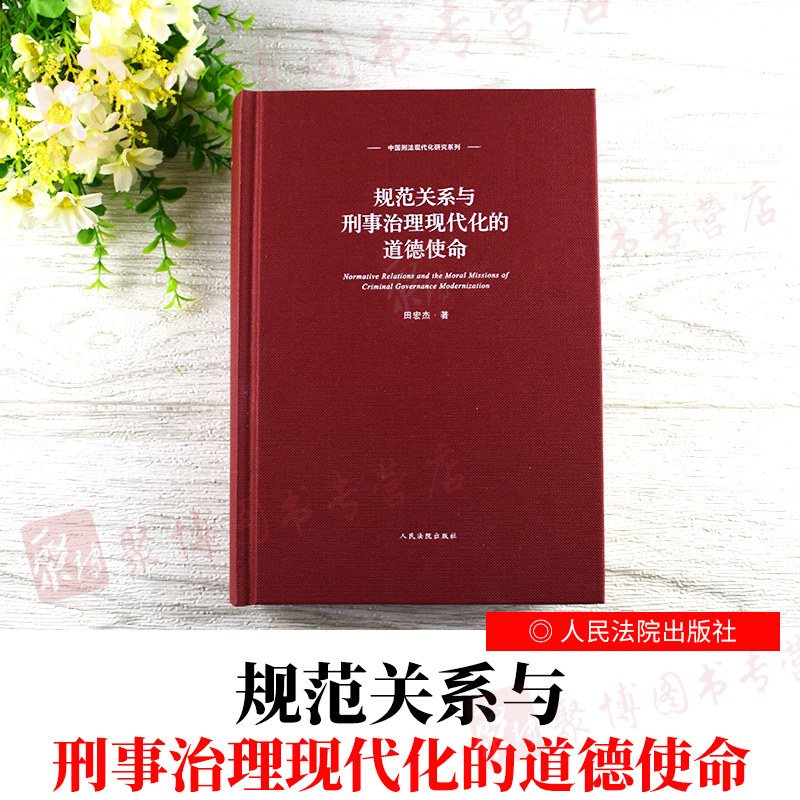 规范关系与刑事治理现代化的道德使命中国刑法现代化研究系列田宏杰著