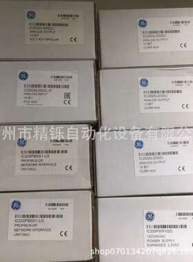GE美国PLC模块 IC695ACC400 全新优惠议价现货实拍