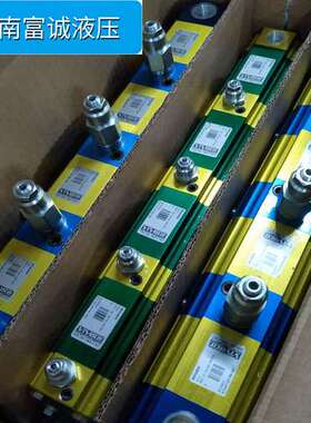 VIVOLO维沃同步分流马达9RV04B47五联带溢流阀液压马达9RV05B47