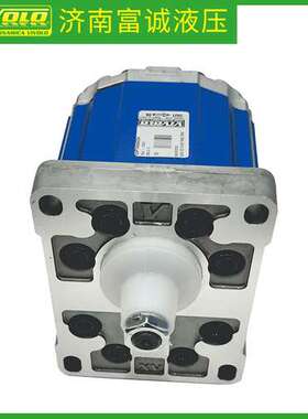 意大利VIVOLO代理直供液压站油泵X3P8532HCCA原装进口高压齿轮泵