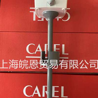 温湿度传感器 DPWC11400 DPPC111000 DPPC110000意大利卡乐CAREL