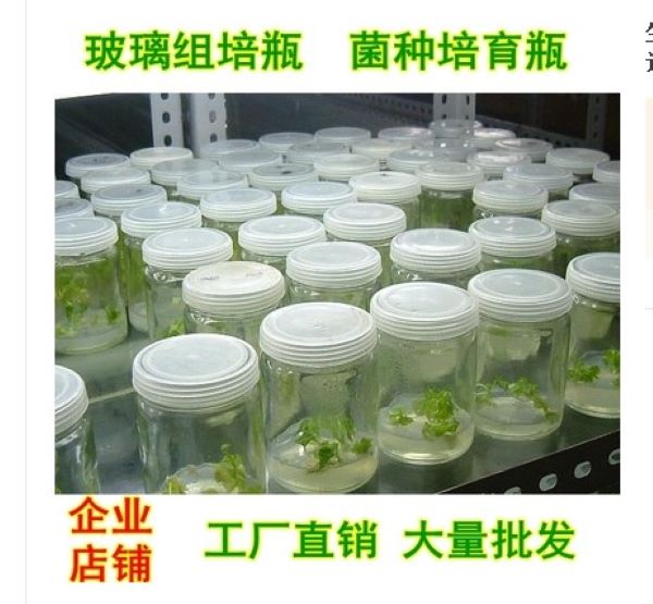 直销组织培养瓶绿植育苗瓶食用菌种瓶耐高温实验组培容器虫草瓶 工业油品/胶粘/化学/实验室用品 瓶类 原图主图