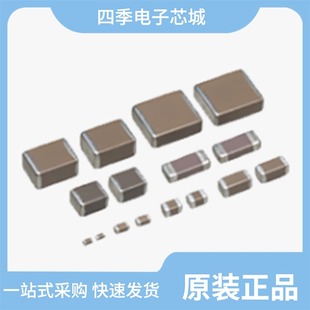 1210X107M6R3CT/1210X226M6R3CT/1210X106M160CT