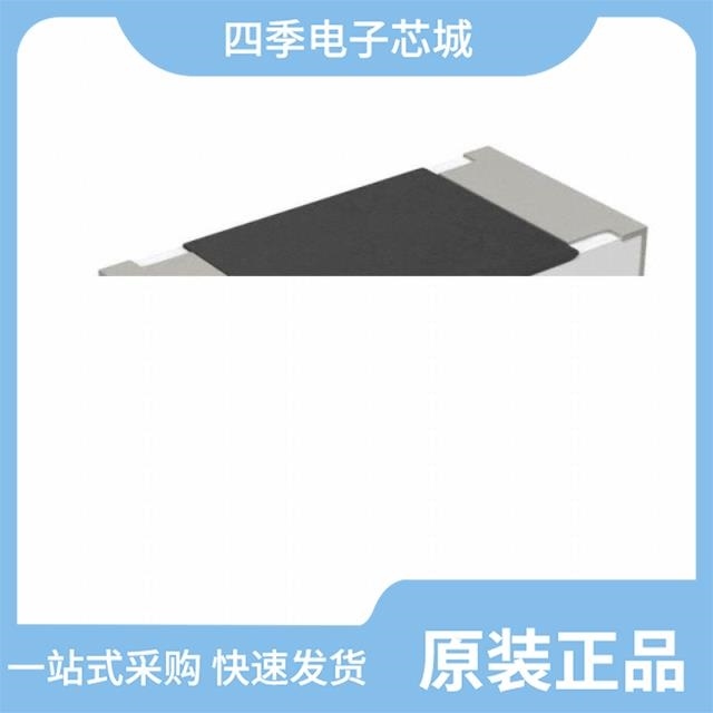 RS-06L1R65FT RS-06K511JT RS-06K101JT