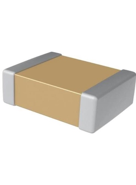 FS55X475K101EGG/FS46X105K251EFG/FS55X106K500EGG