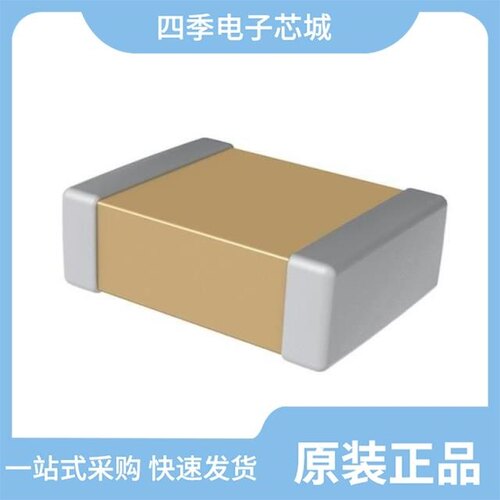 ERS1CM331F12OT/ERS1CM101E11OT/ERS1CM121E11C35T