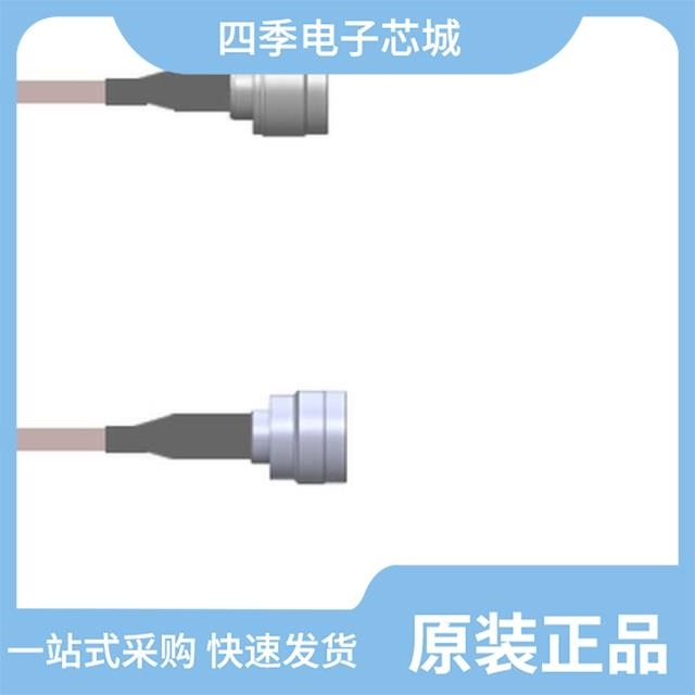 2010W2J0101T4S 2010W2J0123T4S 2010W2J0560T4S