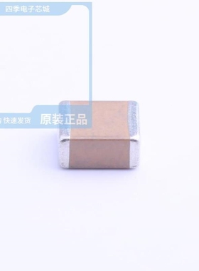 FS55X106K101EHG/FS55X106K101EGG/FS55X225K251EGG