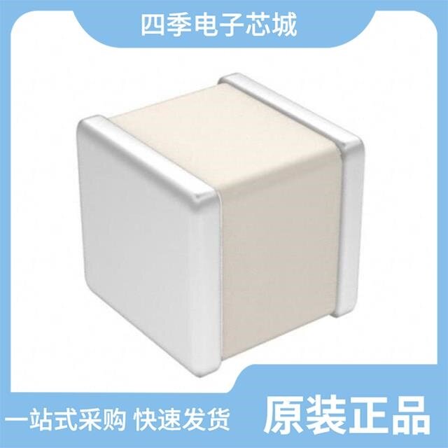 100A8R2CCA150X/100B0R5BT500X/100B0R7BCA500X