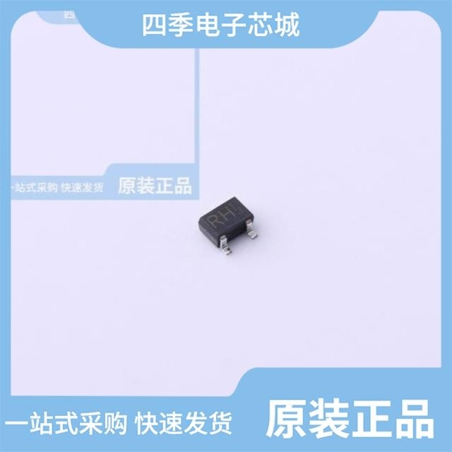 RV1C002UNT2CL RV1C001ZPT2L RUU002N05T106