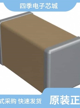 P02CD0R7B5ST/P21BNL300MA04733T/P02CF0R5B5ST