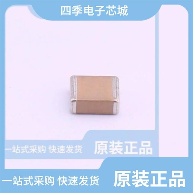 FM55X104K631EFG FM46X474K631EFG FM55N104J101EGG