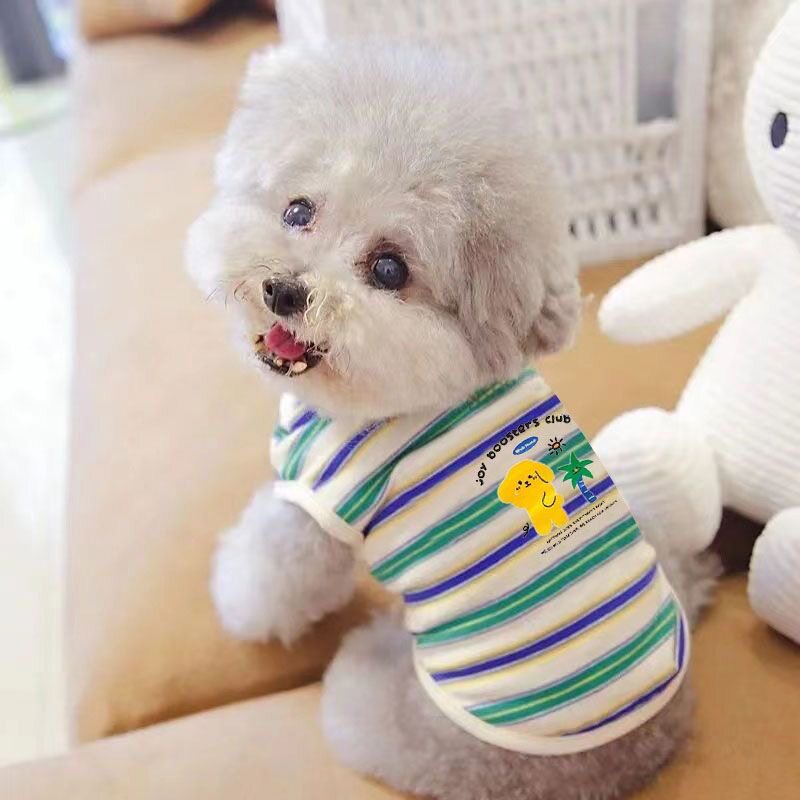 宠物猫咪比熊小型犬泰迪狗狗衣服秋冬装春夏装薄款背心多彩条纹熊