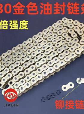 适用力帆V16/LF250-D-L-E赛科龙RX3S/400/500大地鹰王530油封链条